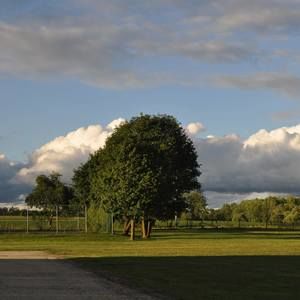 Meet your Posher, Isela